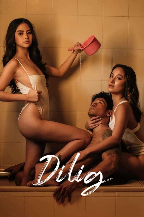فيلم Dilig 2024 مترجم