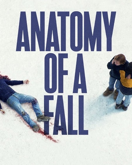 مشاهدة مشاهدة فيلم Anatomy of a Fall 2023 مترجم