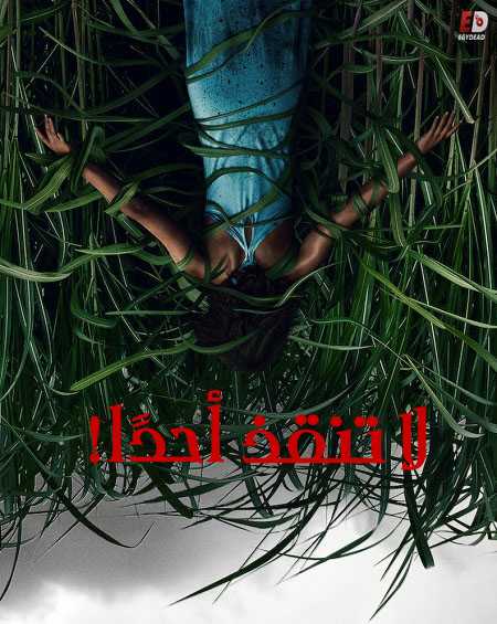 مشاهدة مشاهدة فيلم In the Tall Grass 2019 مترجم