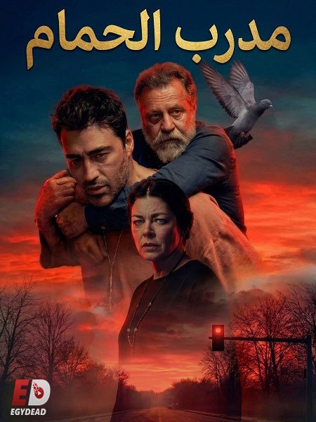 المشاهدة فيلم التركي مدرب الحمام 2026 مدبلج