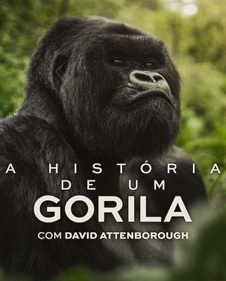مشاهدة مشاهدة فيلم A Gorilla Story Told by David Attenborough 2026 مترجم